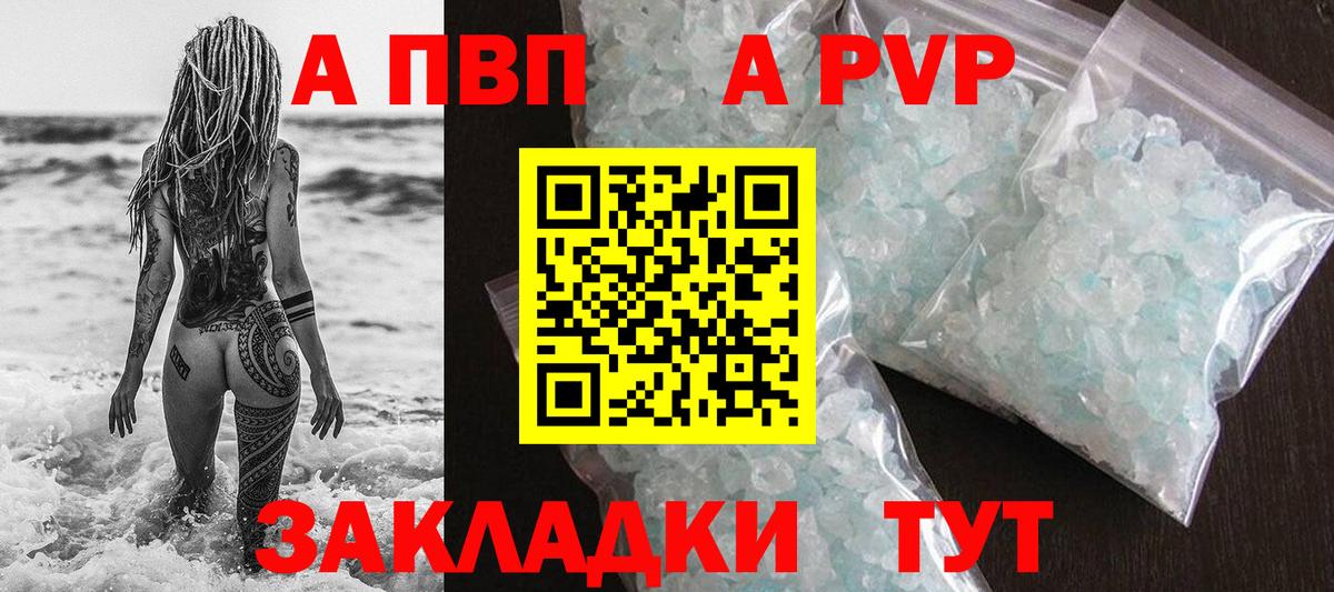 A PVP СК Фрязино