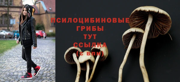 индика Остров