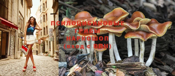 Альфа ПВП Осинники