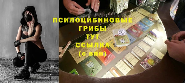 Альфа ПВП Осинники